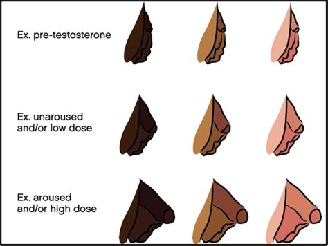 bottom growth|Genital Changes, Periods, and Pelvic Pain in People。